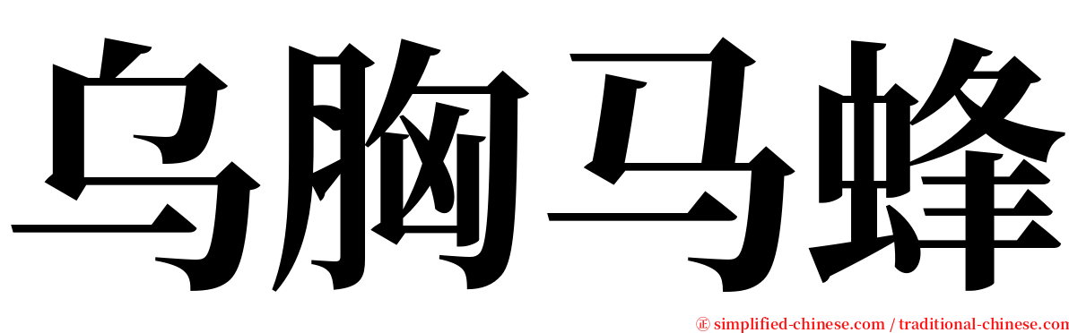 乌胸马蜂 serif font