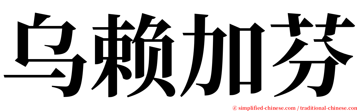 乌赖加芬 serif font