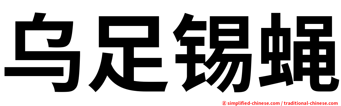 乌足锡蝇