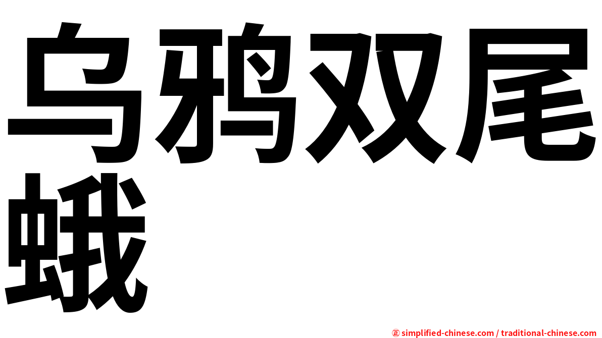 乌鸦双尾蛾