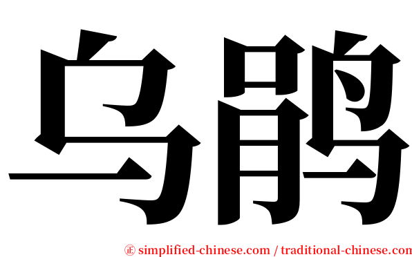 乌鹃 serif font