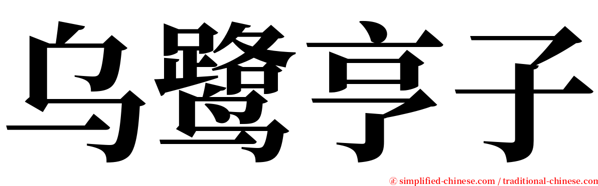 乌鹭亨子 serif font
