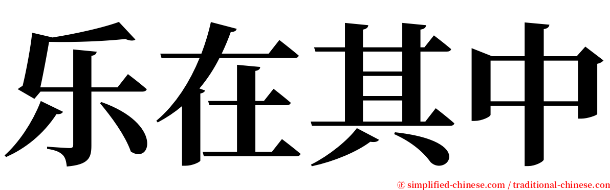 乐在其中 serif font