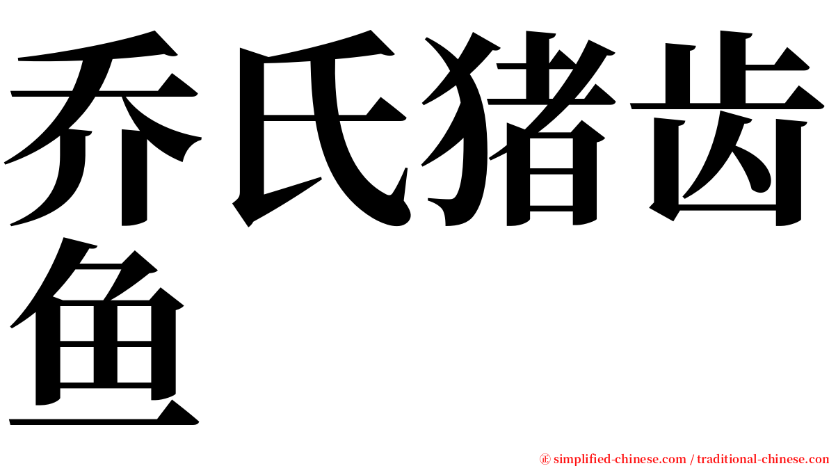 乔氏猪齿鱼 serif font
