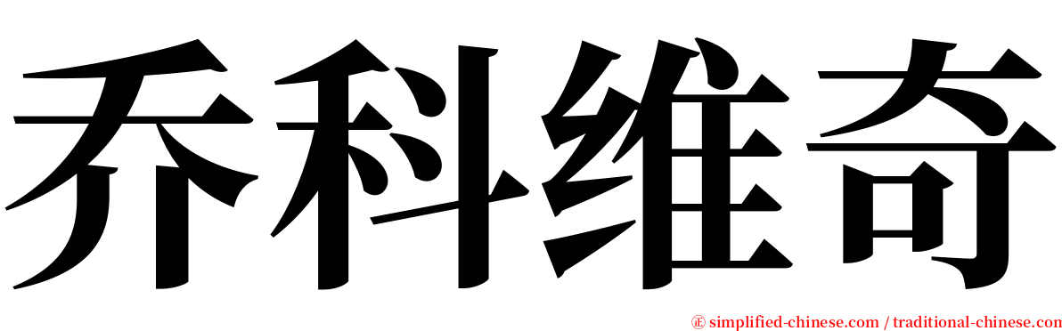乔科维奇 serif font
