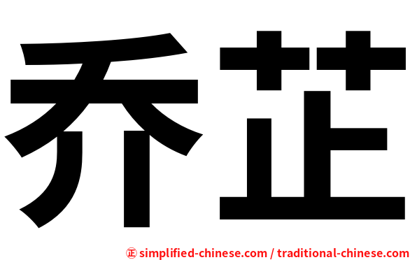 乔芷