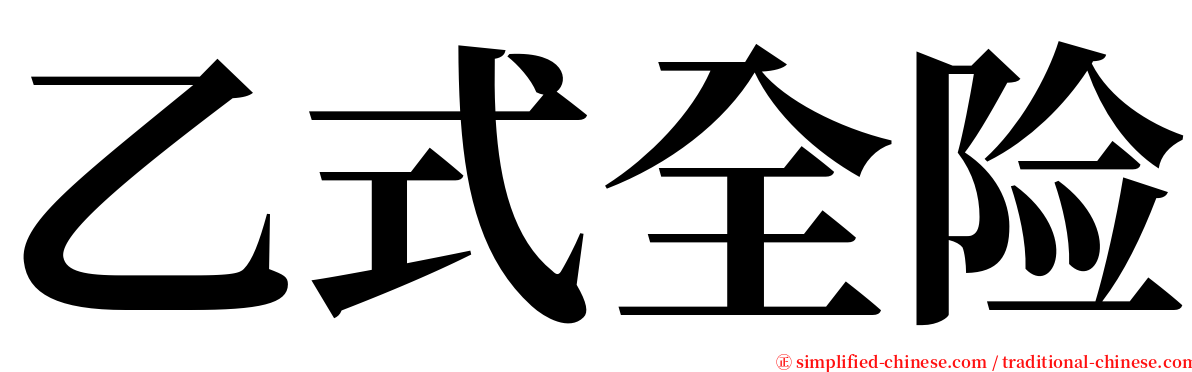 乙式全险 serif font