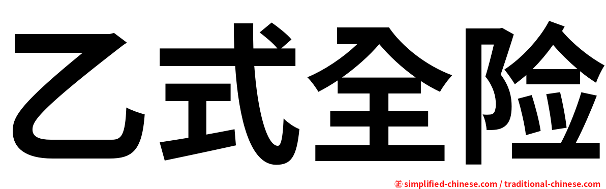 乙式全险