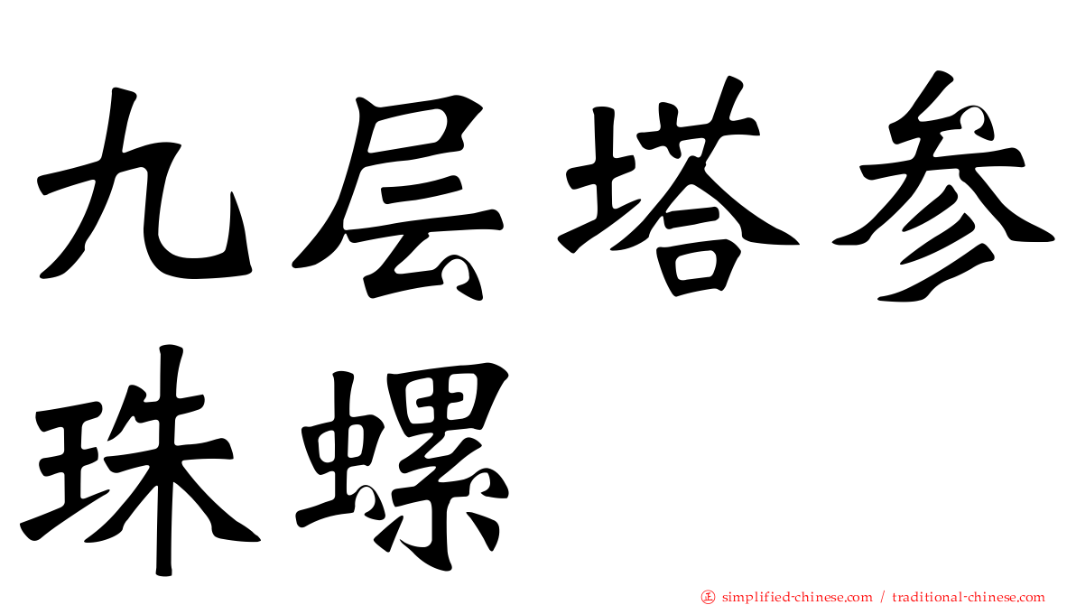 九层塔参珠螺