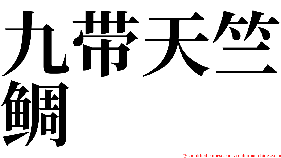 九带天竺鲷 serif font