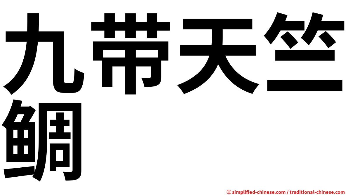 九带天竺鲷