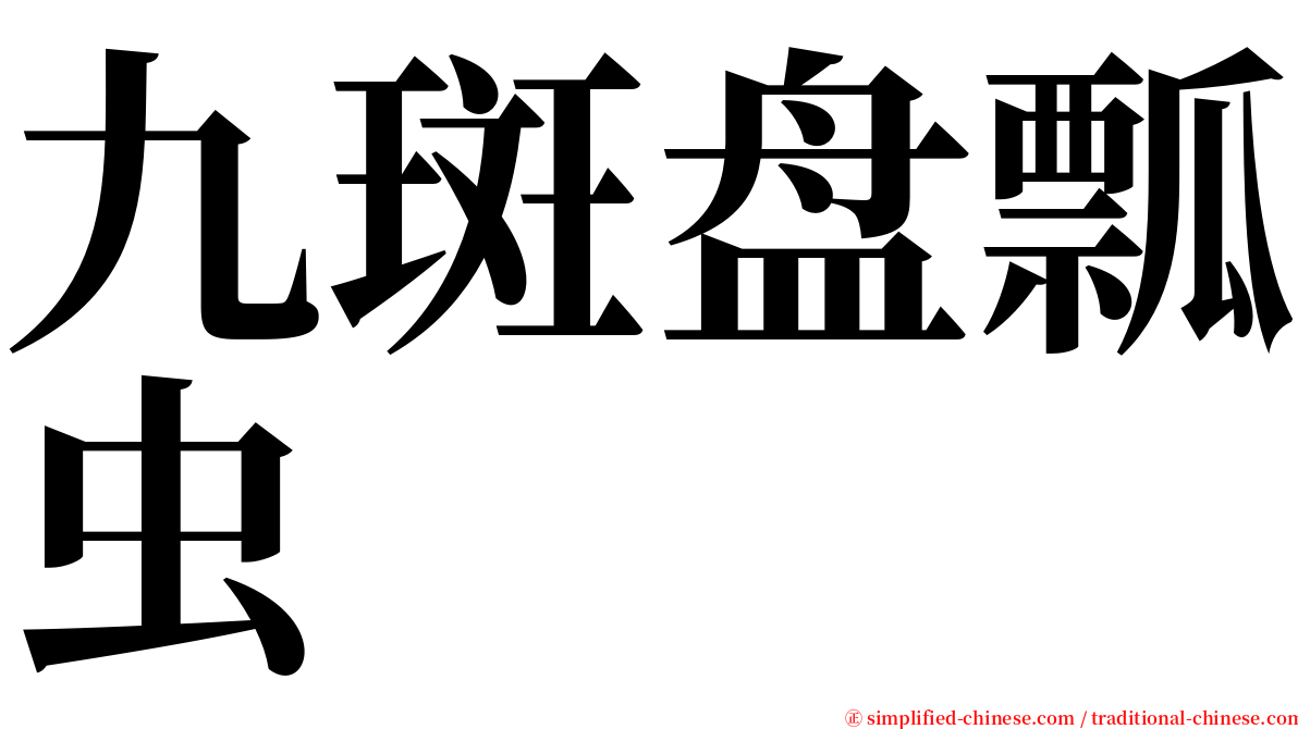 九斑盘瓢虫 serif font