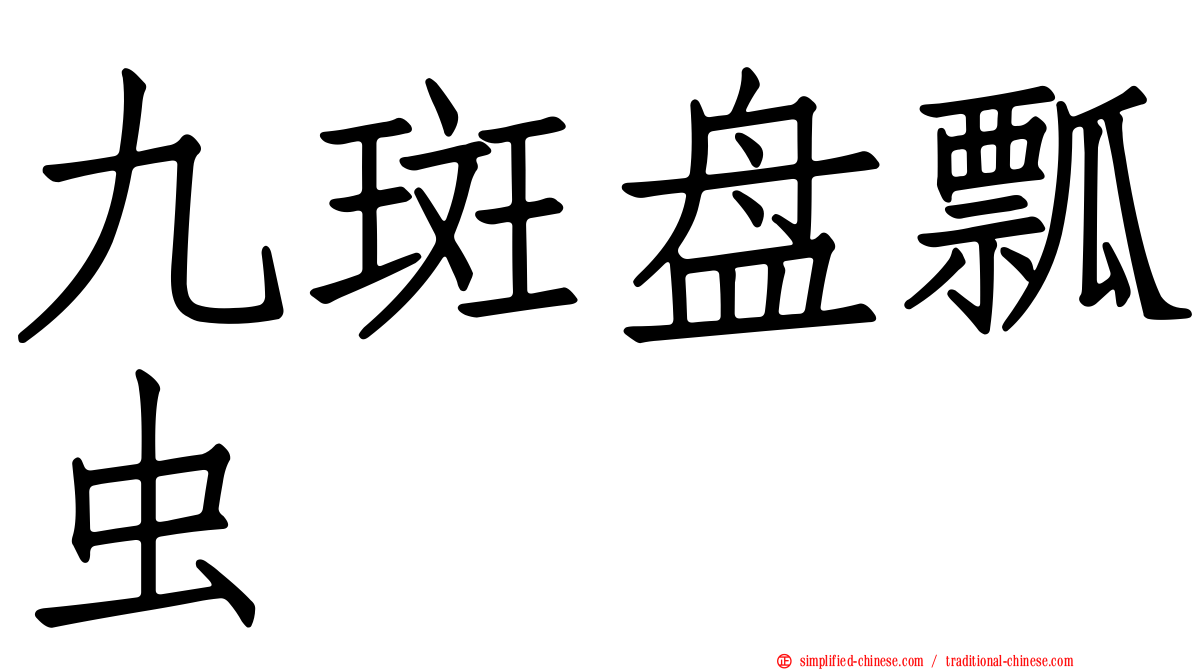九斑盘瓢虫