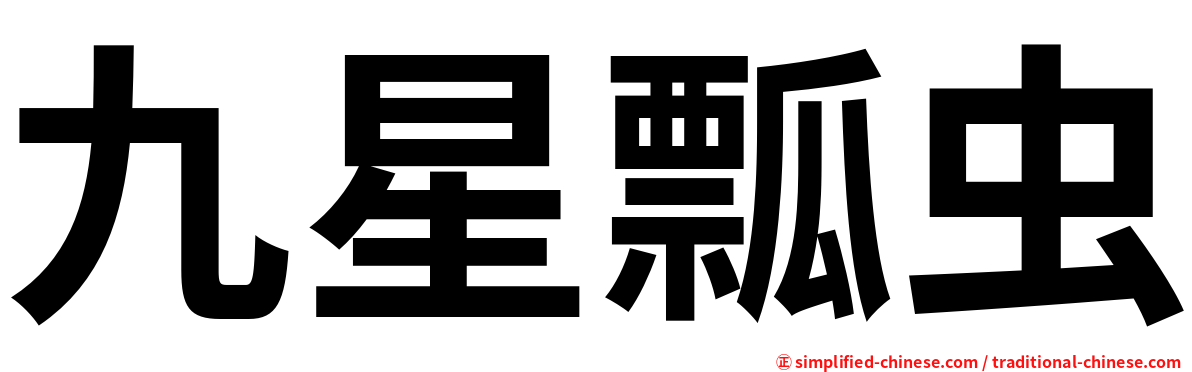 九星瓢虫