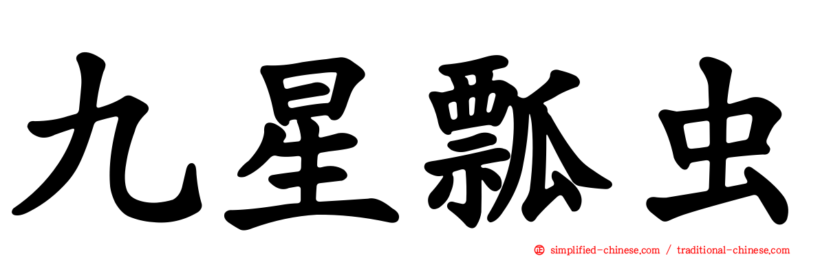 九星瓢虫