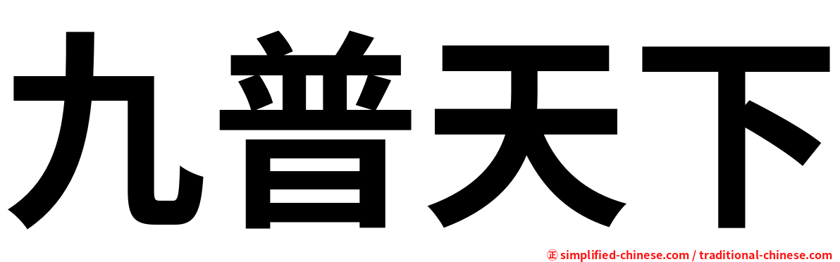 九普天下