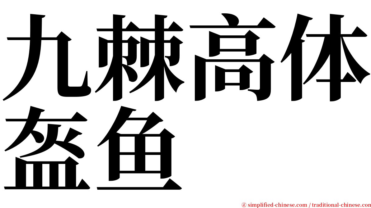 九棘高体盔鱼 serif font