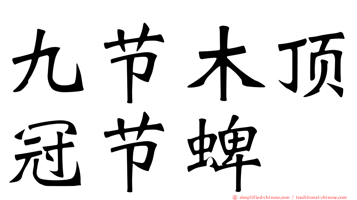 九节木顶冠节蜱