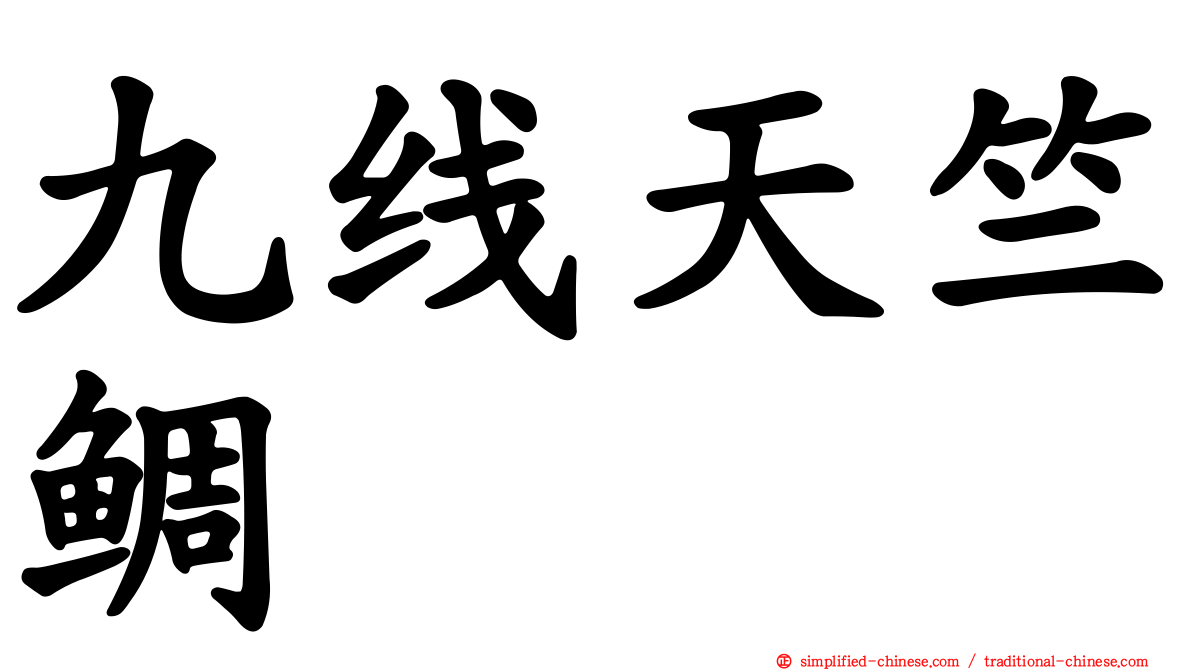 九线天竺鲷