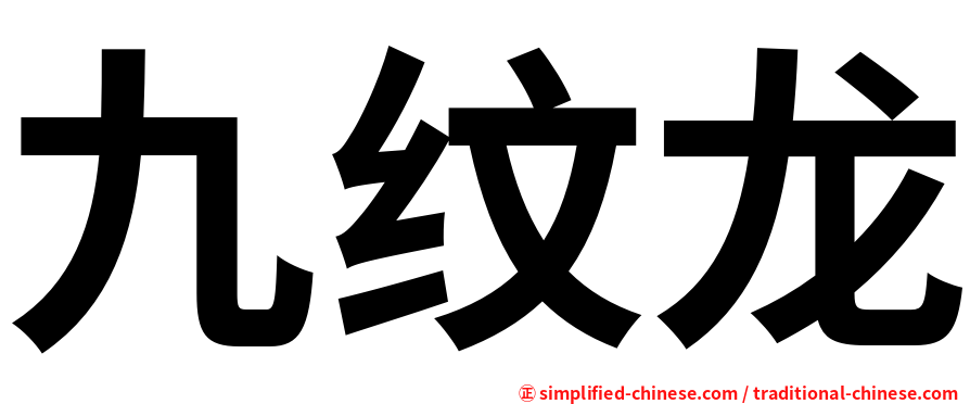 九纹龙