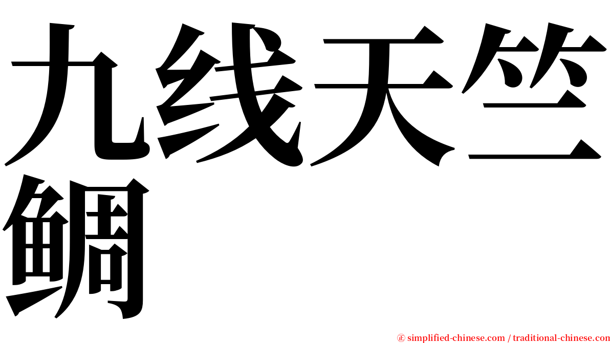九线天竺鲷 serif font