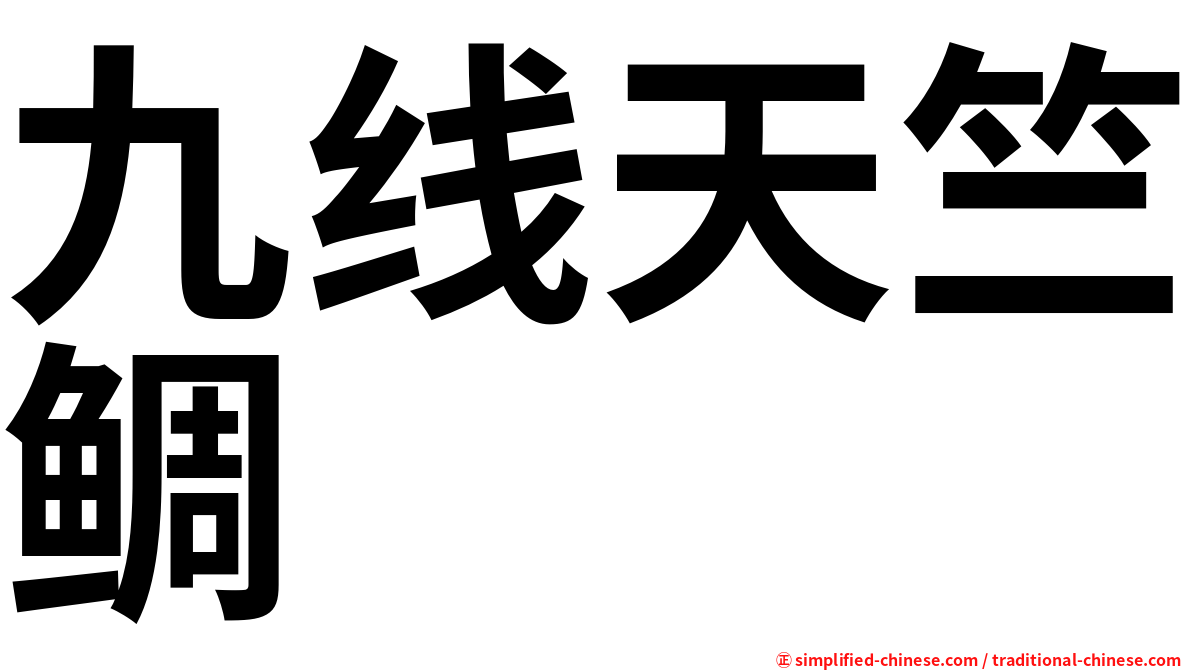 九线天竺鲷