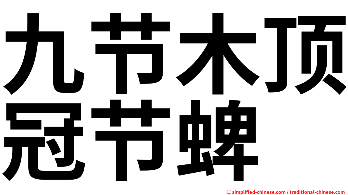 九节木顶冠节蜱