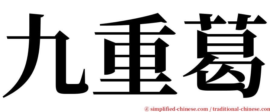 九重葛 serif font