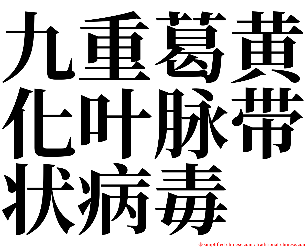 九重葛黄化叶脉带状病毒 serif font