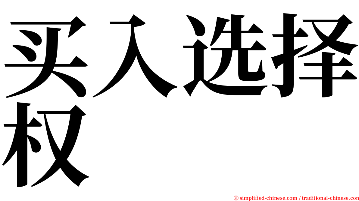 买入选择权 serif font