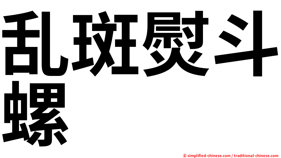 乱斑熨斗螺