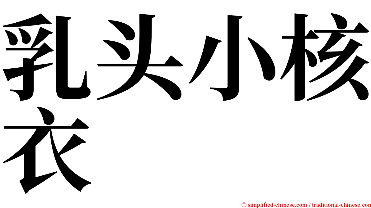 乳头小核衣 serif font