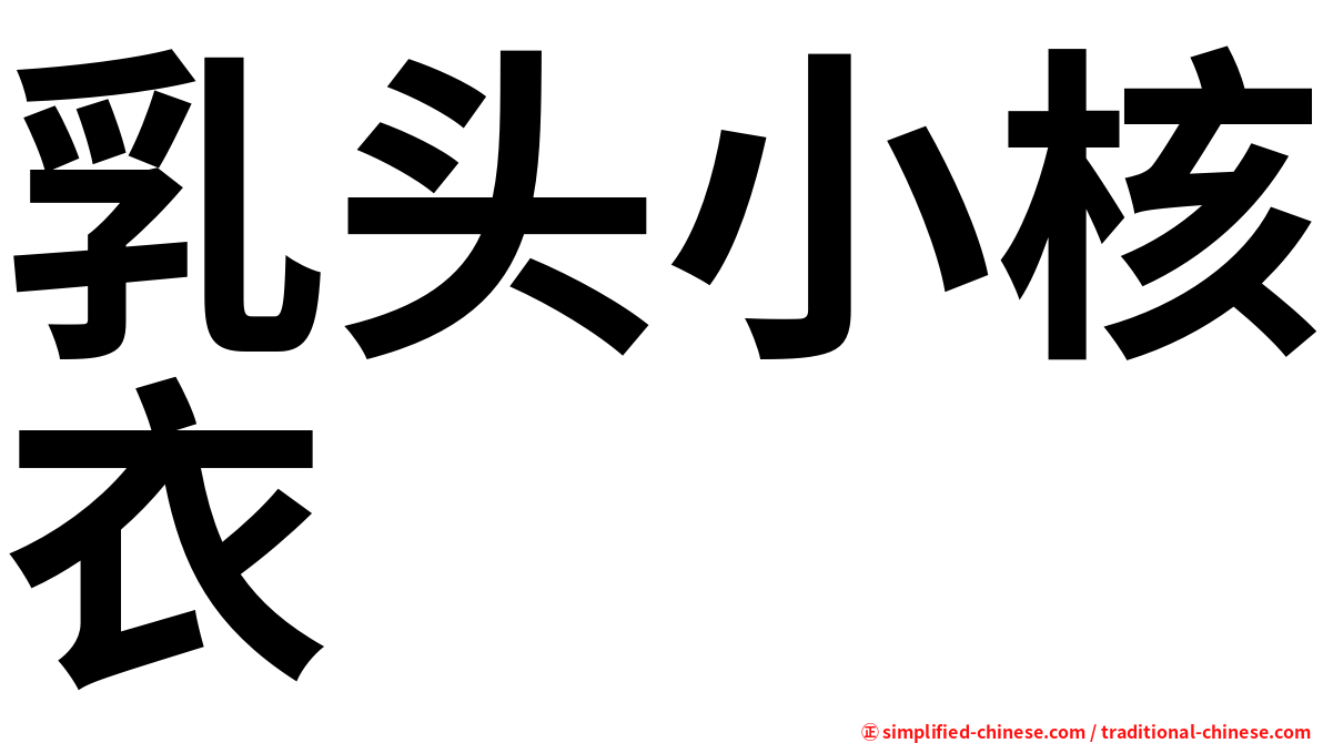 乳头小核衣