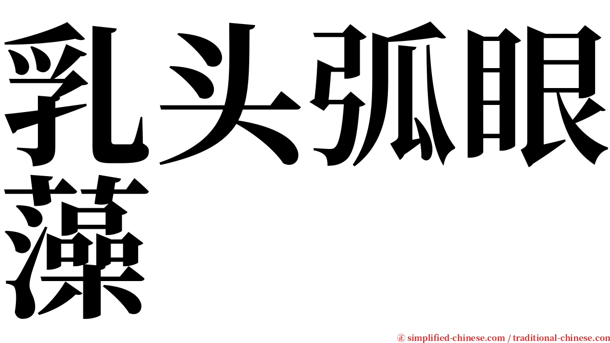 乳头弧眼藻 serif font