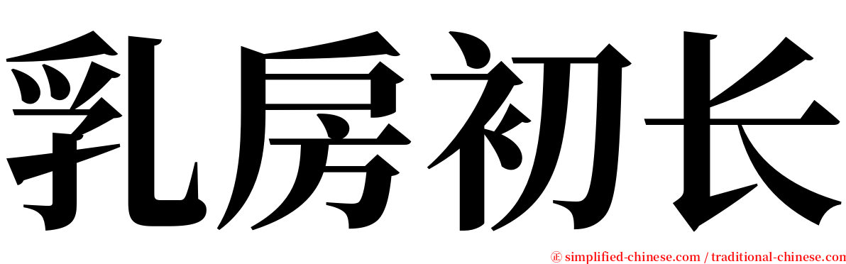 乳房初长 serif font