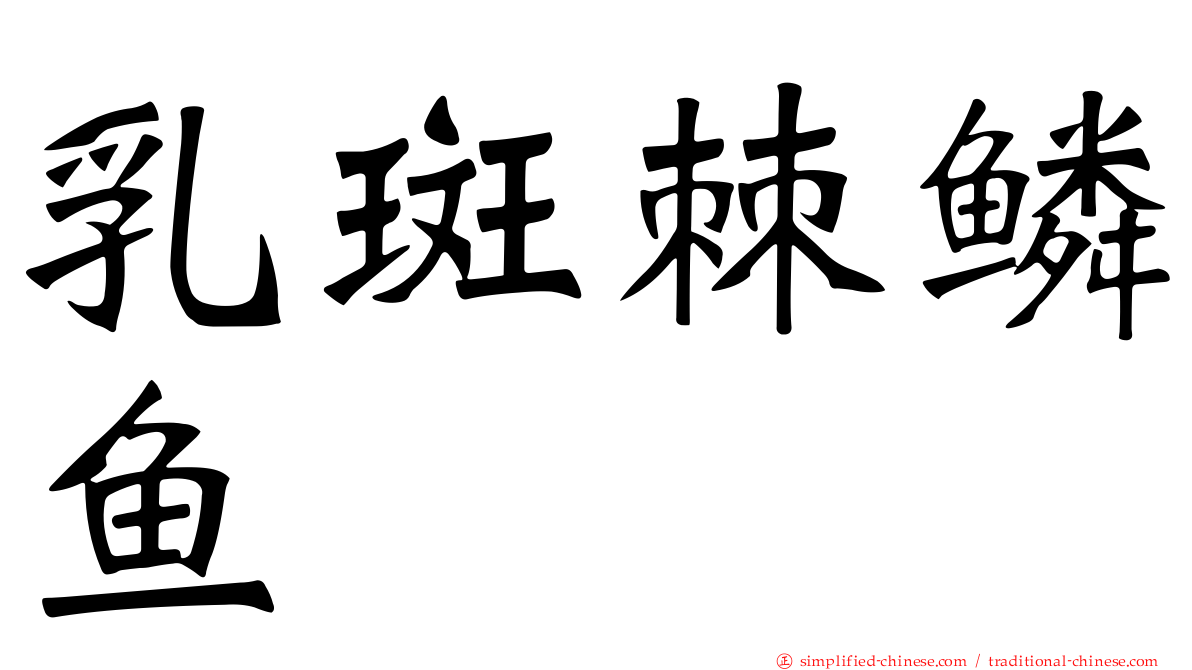 乳斑棘鳞鱼