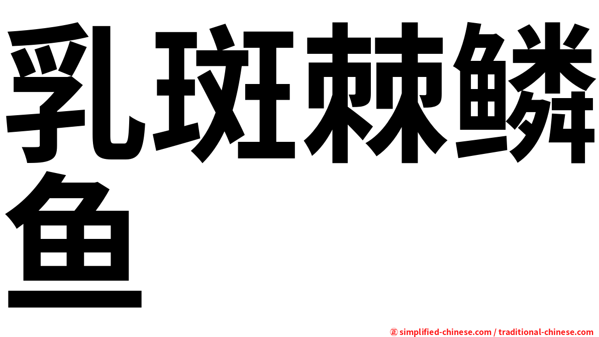 乳斑棘鳞鱼