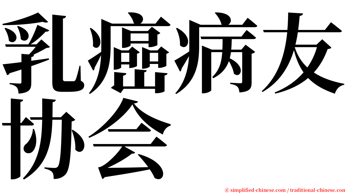 乳癌病友协会 serif font