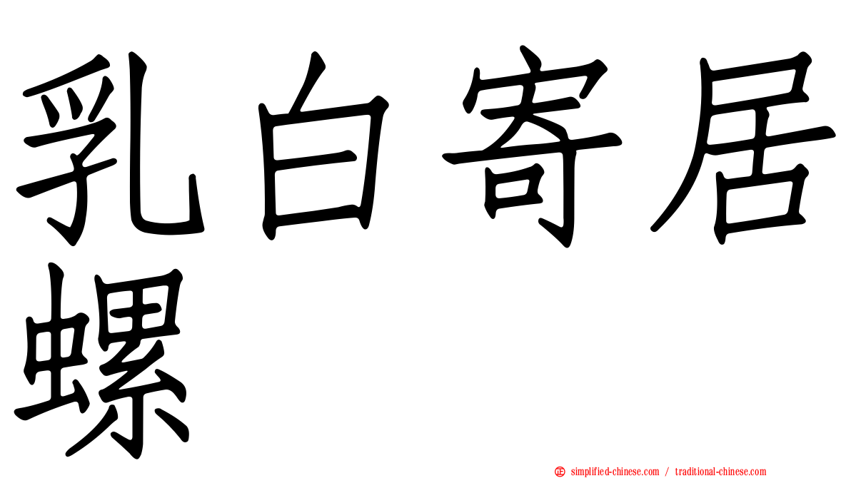 乳白寄居螺