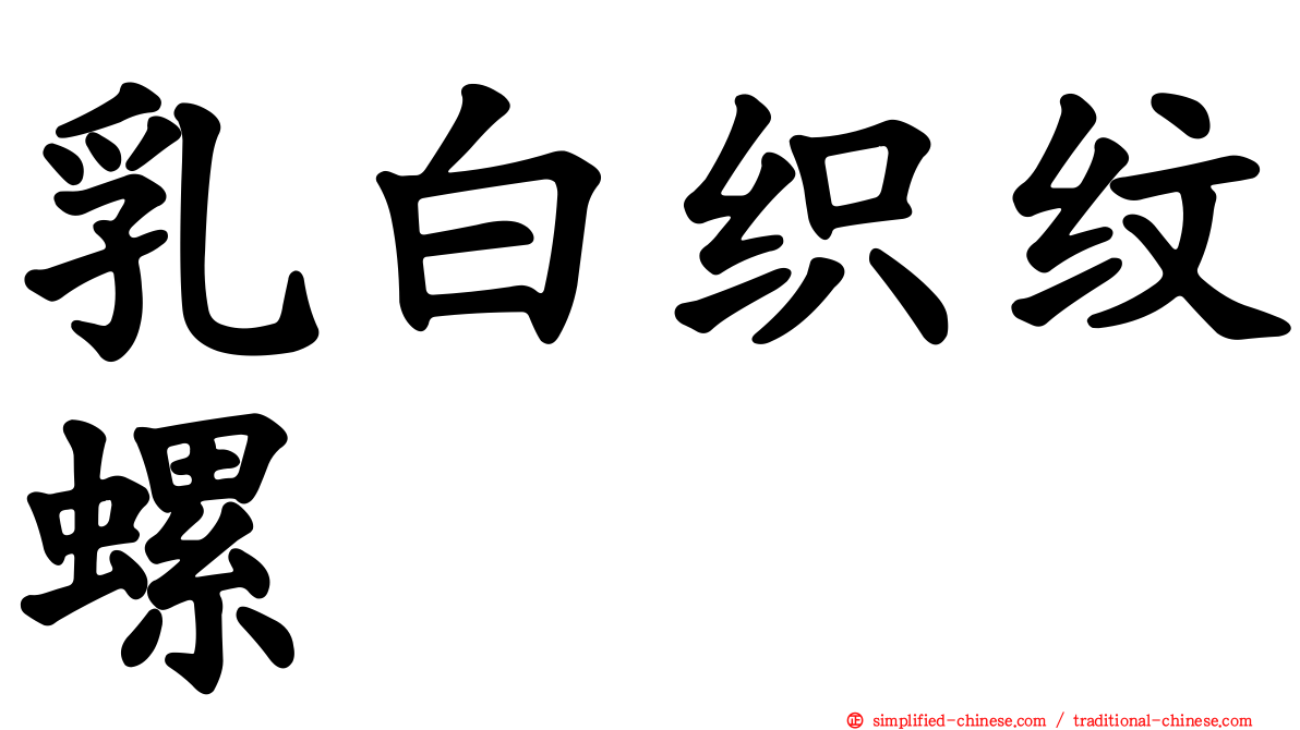 乳白织纹螺