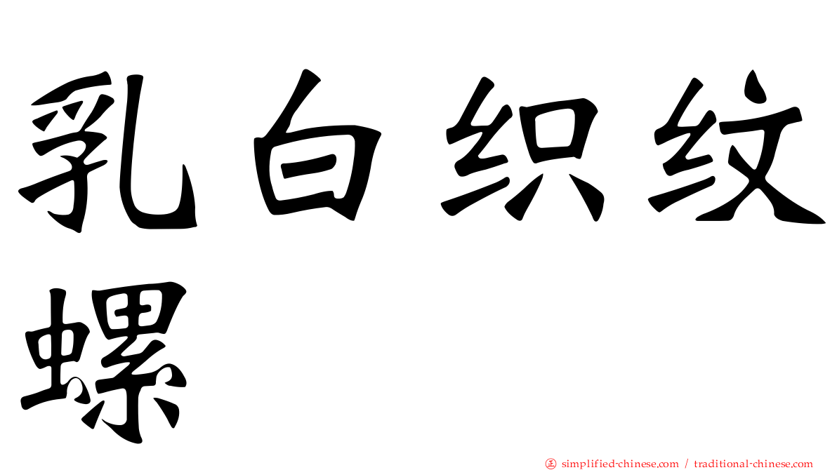 乳白织纹螺