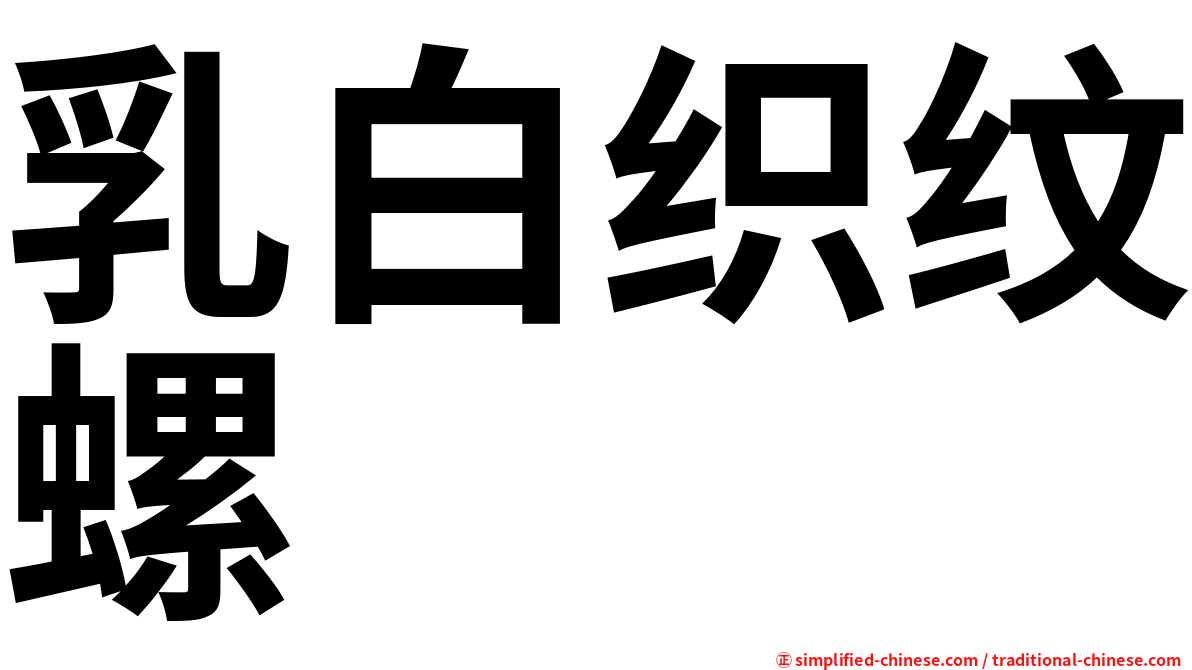 乳白织纹螺