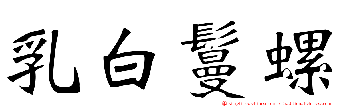 乳白鬘螺