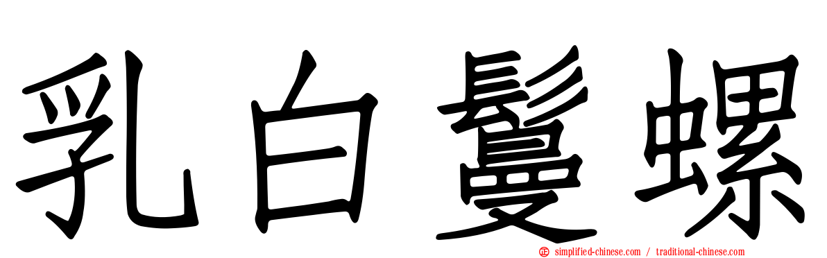 乳白鬘螺