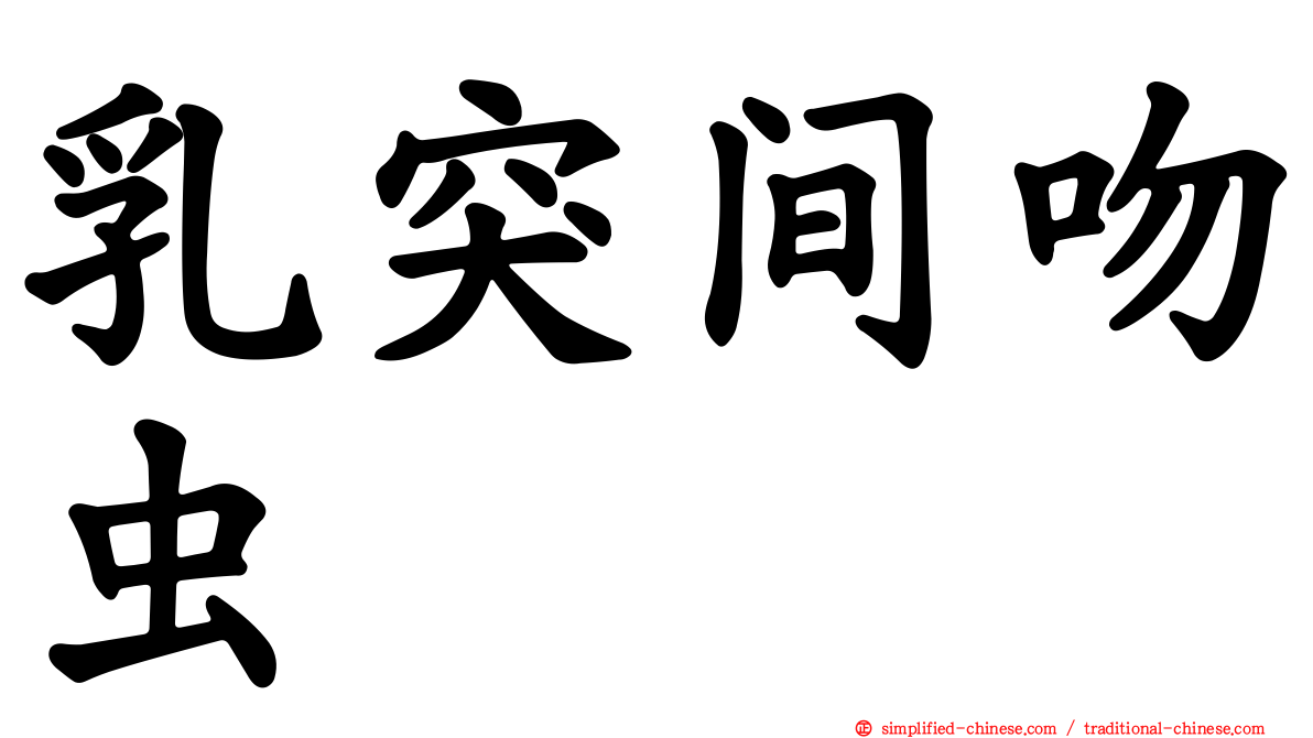 乳突间吻虫