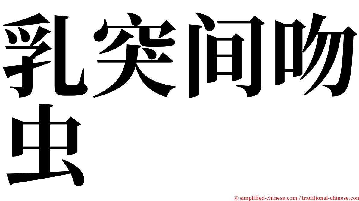 乳突间吻虫 serif font