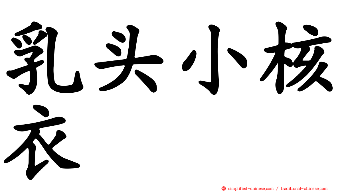 乳头小核衣