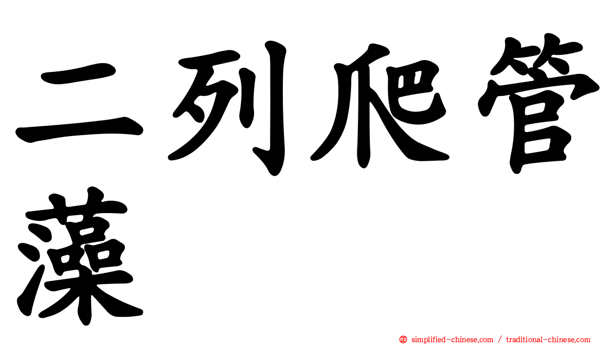 二列爬管藻