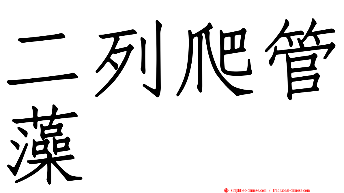 二列爬管藻