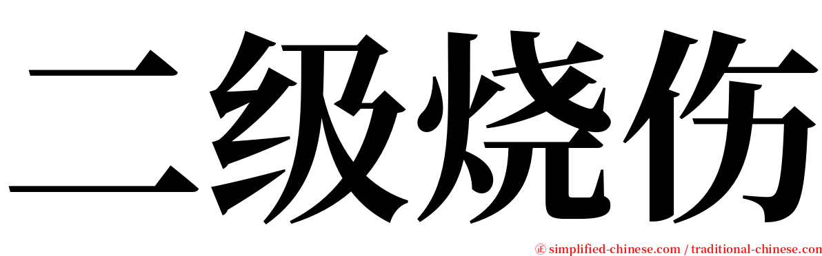 二级烧伤 serif font